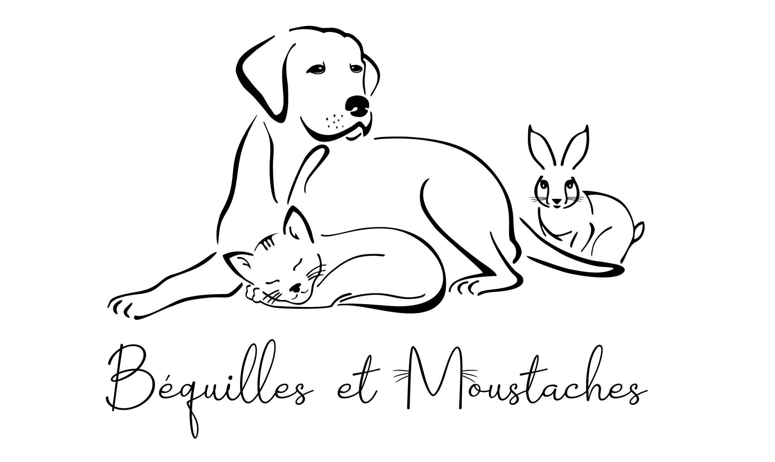Béquilles et moustaches